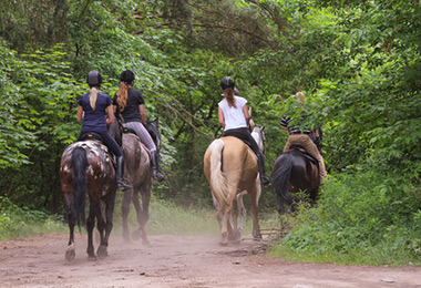 balade-cheval-tillac